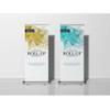 RUS-KM003 Hot Sale Stand Display Economic Roll Up Banner For Event Roll Up Banner Stand